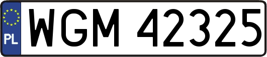 WGM42325