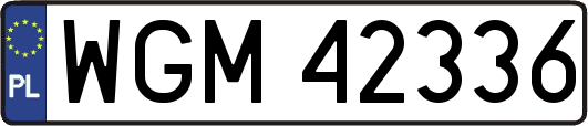 WGM42336