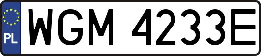 WGM4233E