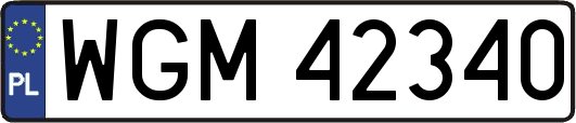 WGM42340