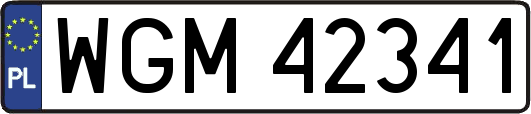 WGM42341