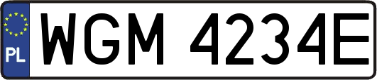 WGM4234E