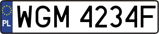 WGM4234F