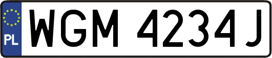 WGM4234J