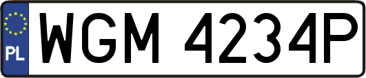 WGM4234P