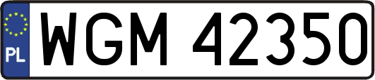 WGM42350
