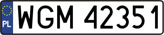WGM42351