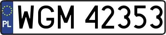 WGM42353