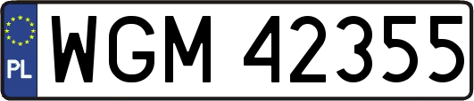 WGM42355
