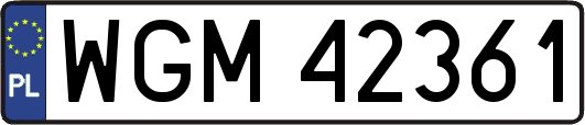 WGM42361