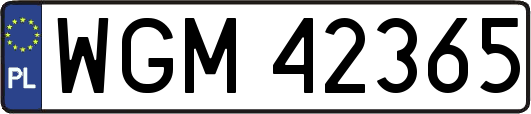 WGM42365