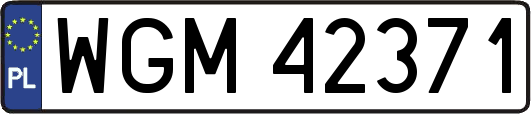 WGM42371