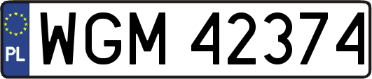 WGM42374