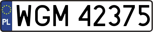 WGM42375