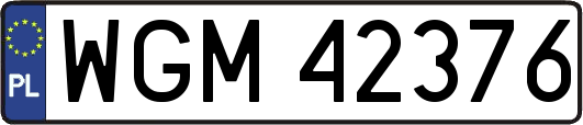 WGM42376