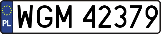 WGM42379