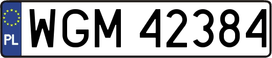 WGM42384