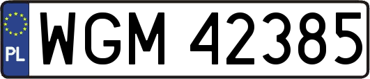 WGM42385