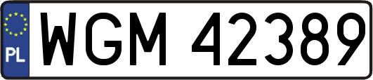 WGM42389