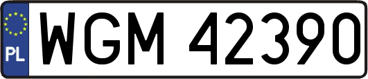 WGM42390