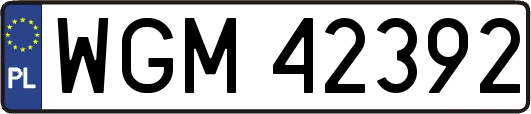WGM42392