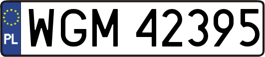 WGM42395