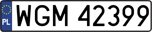 WGM42399