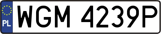 WGM4239P