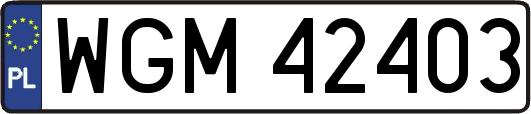 WGM42403