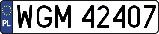 WGM42407
