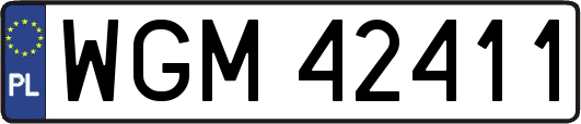 WGM42411