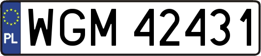 WGM42431