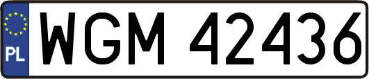 WGM42436