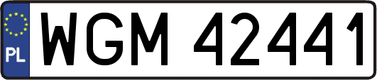 WGM42441