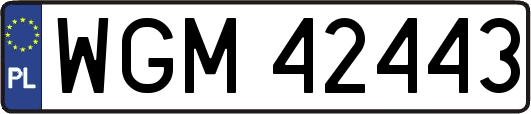 WGM42443