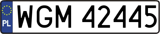 WGM42445