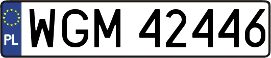 WGM42446