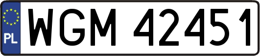 WGM42451