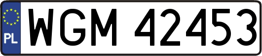 WGM42453