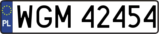 WGM42454
