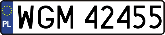 WGM42455