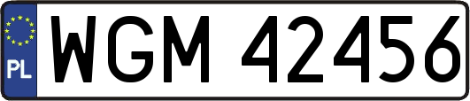 WGM42456