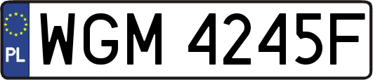 WGM4245F