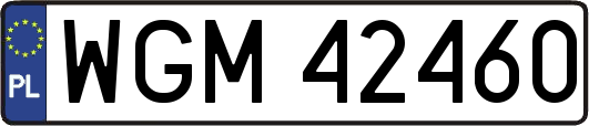 WGM42460