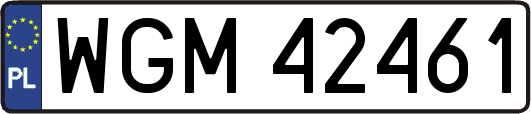 WGM42461