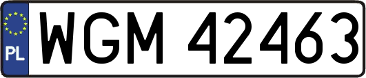 WGM42463