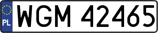 WGM42465
