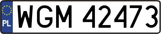 WGM42473