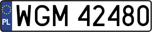 WGM42480
