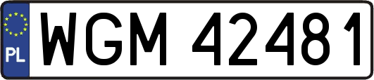 WGM42481